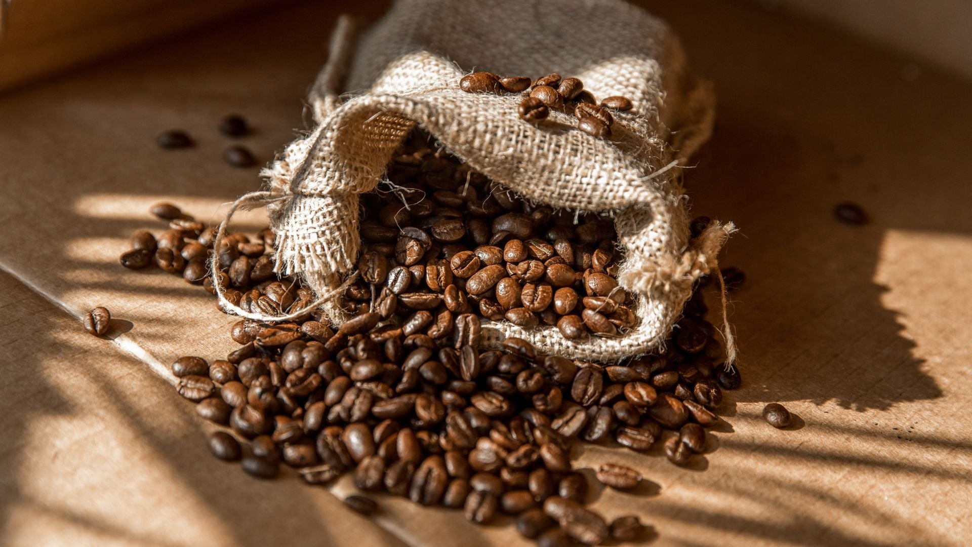 How to Store Coffee Beans in the Summer Heat: Keeping Your Brew Fresh and Flavorful