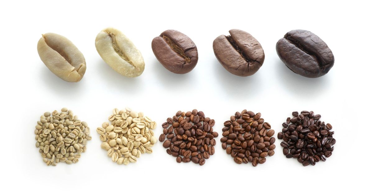 Light, Medium, and Dark Roast. What's the Difference?